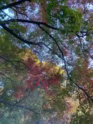 普門寺(切り絵御朱印発祥の寺)(愛知県)