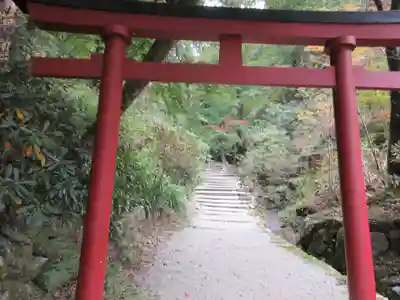 岡寺（龍蓋寺）の鳥居