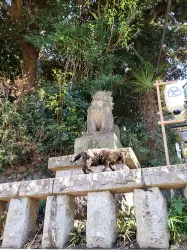 代々木八幡宮の狛犬