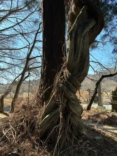 白河神社(福島県)