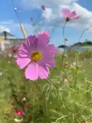 比々多神社の自然