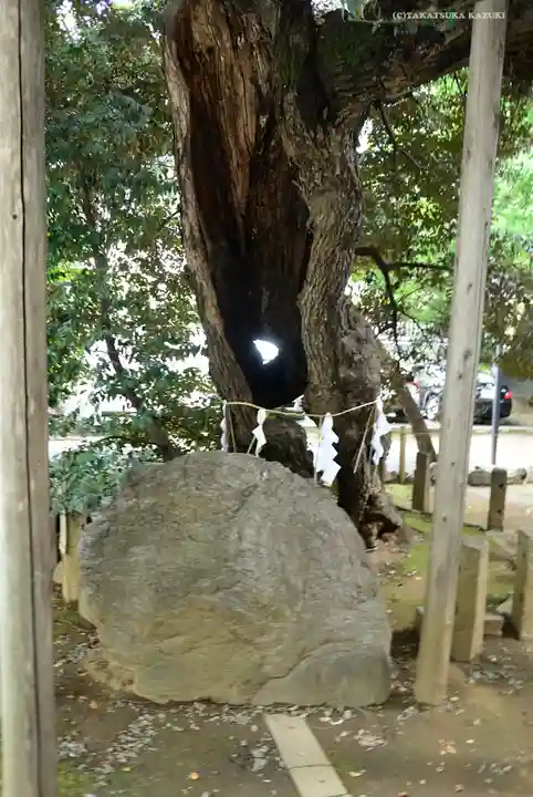 金王八幡宮のその他建物