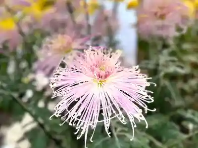 生島足島神社(長野県)
