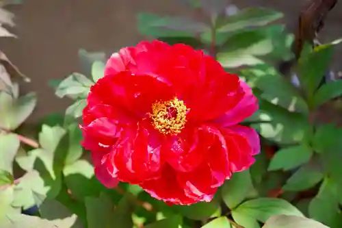 福王山  慈眼寺の自然