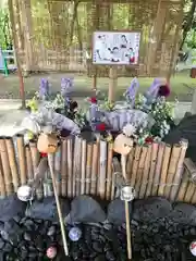 上川神社の手水