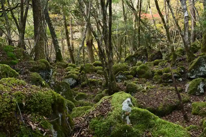 黒松寺(徳島県)