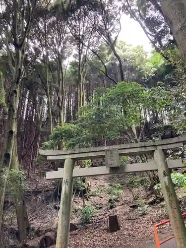 朝護孫子寺(奈良県)