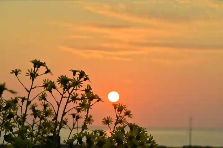 白山媛神社(新潟県)