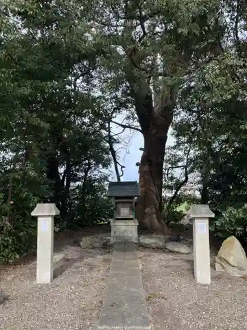 正楽寺野神さん(滋賀県)