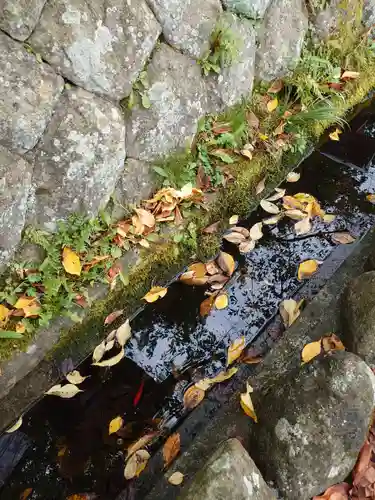 神炊館神社 ⁂奥州須賀川総鎮守⁂の景色