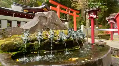 九頭龍神社新宮(神奈川県)