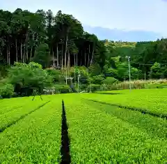 六所神社(静岡県)