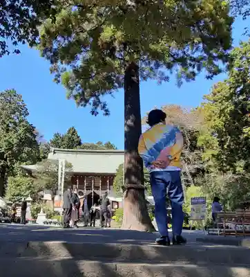 比々多神社(神奈川県)