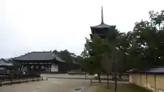 興福寺の建物その他