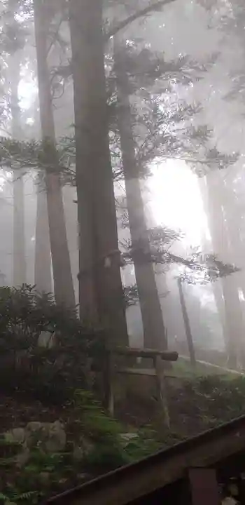 三峯神社の自然