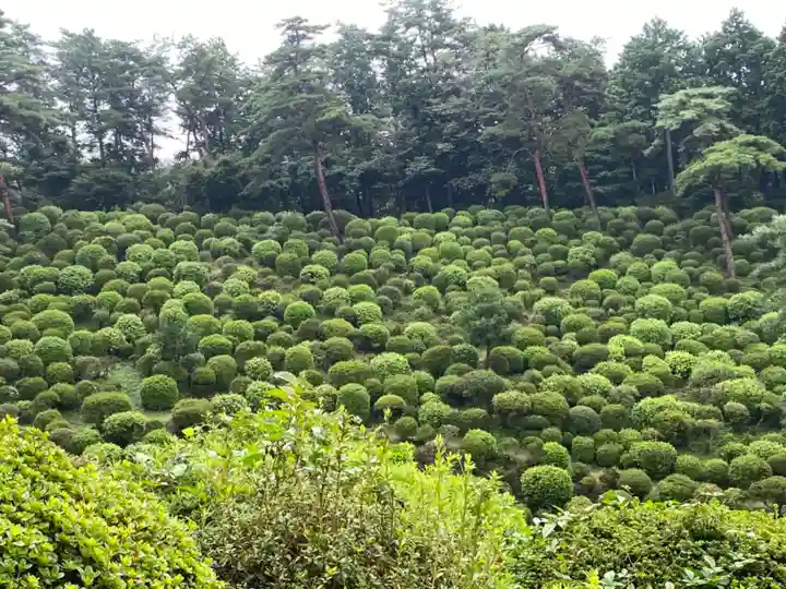 塩船観音寺の庭園