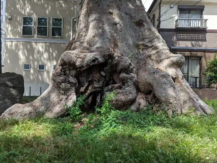 調神社(埼玉県)