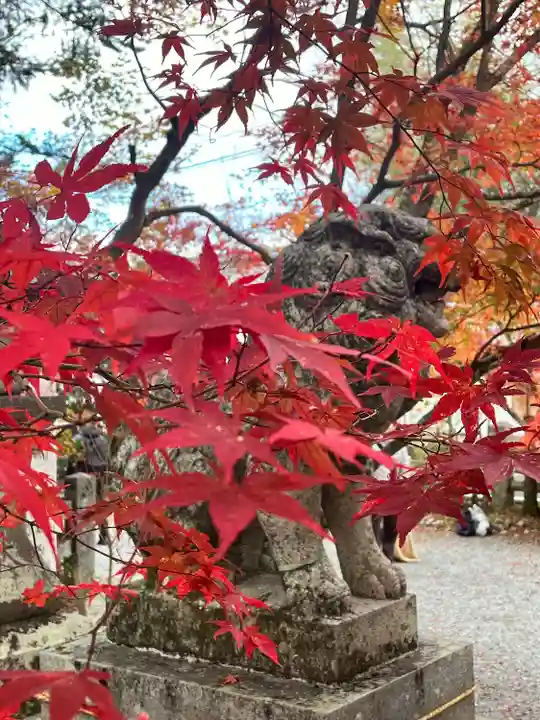 鍬山神社(京都府)