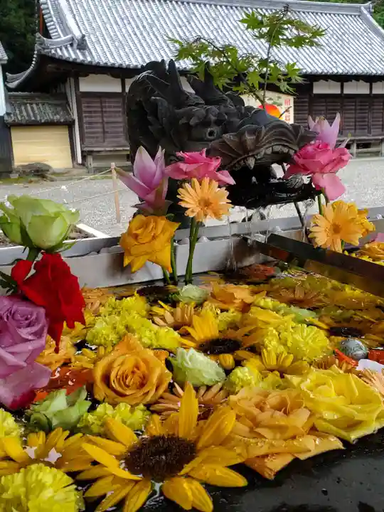 美濃國一宮 南宮大社の手水舎