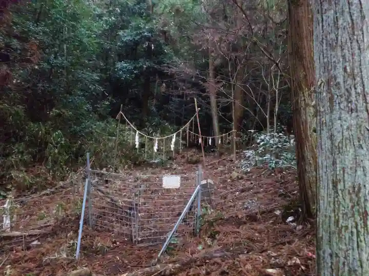 伏見稲荷大社(京都府)