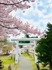 土津神社｜こどもと出世の神さまの鳥居