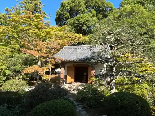 隨心院（随心院）(京都府)