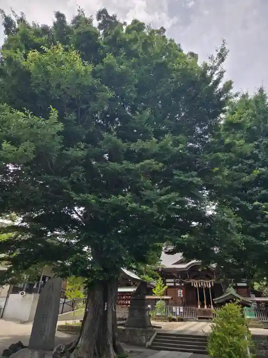 滝野川八幡神社(東京都)