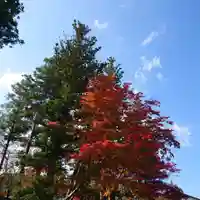 壇上伽藍の自然