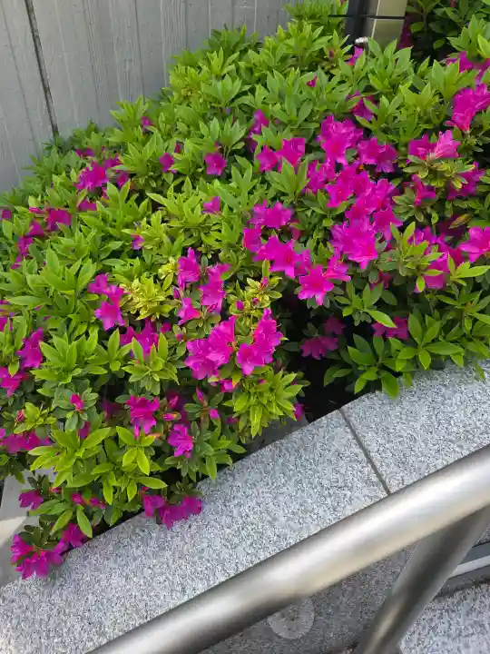 駒込妙義神社の{uncategorized: "未分類", other: "その他", undefined: "問題あり", building: "その他建物", grave: "お墓", sacred_gate: "鳥居", guardian: "狛犬", statue: "像", buddha: "仏像", history: "歴史", nature: "自然", garden: "庭園", animal: "動物", pagoda: "塔", temizu: "手水舎", mountain_gate: "山門・神門", sanctuary: "本殿・本堂", subordinate: "末社・摂社", art: "芸術", scenery: "景色", jizo: "地蔵", ema: "絵馬", goshuin: "御朱印", omikuji: "おみくじ", items: "授与品その他", amulet: "お守り", goshuincho: "御朱印帳", eats: "食事", festival: "お祭り", votive_dance: "神楽", shichigosan: "七五三参", wedding: "結婚式", experience: "体験その他", initially: "初詣", around: "周辺", anti_infection: "感染症対策"}