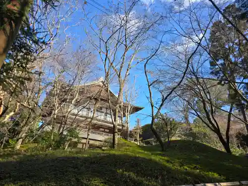 今熊野観音寺(京都府)