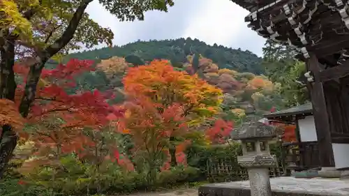善峯寺(京都府)