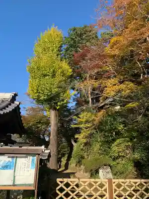 楠妣庵観音寺(大阪府)
