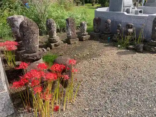 正福寺(神奈川県)