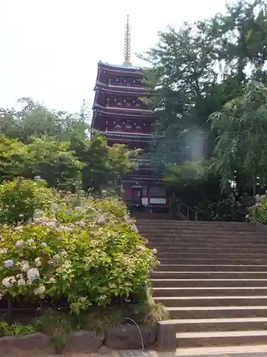 本土寺の塔