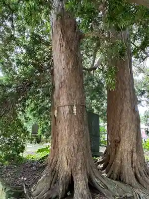 海上八幡宮(千葉県)