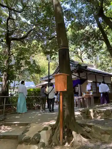  久延彦神社(奈良県)