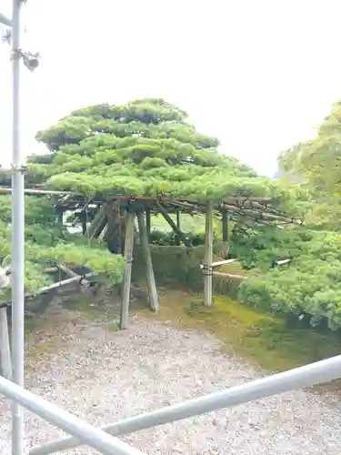 善峯寺(京都府)