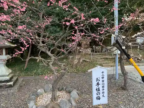 矢奈比賣神社（見付天神）(静岡県)