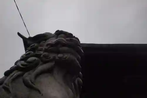 穴切大神社の狛犬