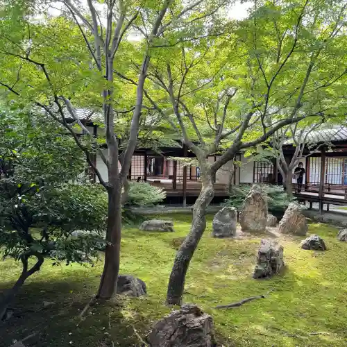建仁寺（建仁禅寺）(京都府)