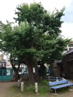 白髭神社(東京都)