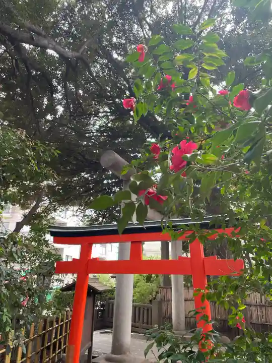 ときわ台天祖神社(東京都)
