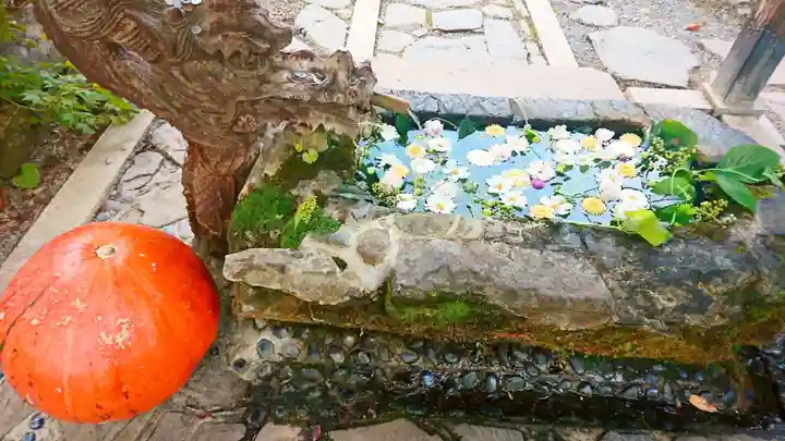 柳津虚空蔵尊 寳性院の手水舎