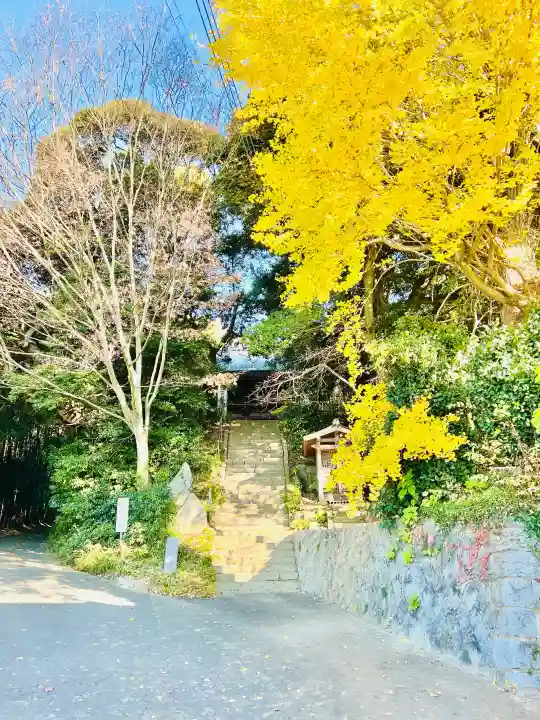 清滝寺の{uncategorized: "未分類", other: "その他", undefined: "問題あり", building: "その他建物", grave: "お墓", sacred_gate: "鳥居", guardian: "狛犬", statue: "像", buddha: "仏像", history: "歴史", nature: "自然", garden: "庭園", animal: "動物", pagoda: "塔", temizu: "手水舎", mountain_gate: "山門・神門", sanctuary: "本殿・本堂", subordinate: "末社・摂社", art: "芸術", scenery: "景色", jizo: "地蔵", ema: "絵馬", goshuin: "御朱印", omikuji: "おみくじ", items: "授与品その他", amulet: "お守り", goshuincho: "御朱印帳", eats: "食事", festival: "お祭り", votive_dance: "神楽", shichigosan: "七五三参", wedding: "結婚式", experience: "体験その他", initially: "初詣", around: "周辺", anti_infection: "感染症対策"}