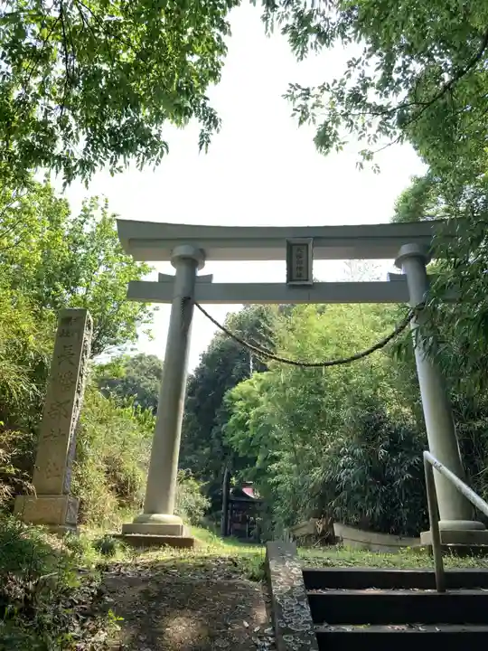長幡部神社の鳥居