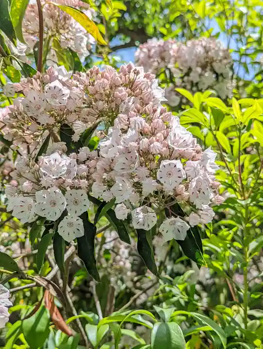 惠心院(京都府)