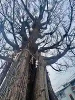 八大龍王辨財天の{uncategorized: "未分類", other: "その他", undefined: "問題あり", building: "その他建物", grave: "お墓", sacred_gate: "鳥居", guardian: "狛犬", statue: "像", buddha: "仏像", history: "歴史", nature: "自然", garden: "庭園", animal: "動物", pagoda: "塔", temizu: "手水舎", mountain_gate: "山門・神門", sanctuary: "本殿・本堂", subordinate: "末社・摂社", art: "芸術", scenery: "景色", jizo: "地蔵", ema: "絵馬", goshuin: "御朱印", omikuji: "おみくじ", items: "授与品その他", amulet: "お守り", goshuincho: "御朱印帳", eats: "食事", festival: "お祭り", votive_dance: "神楽", shichigosan: "七五三参", wedding: "結婚式", experience: "体験その他", initially: "初詣", around: "周辺", anti_infection: "感染症対策"}