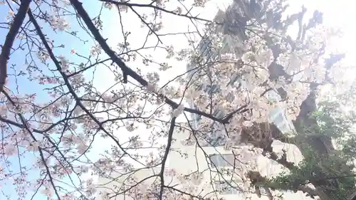 諏訪神社の自然