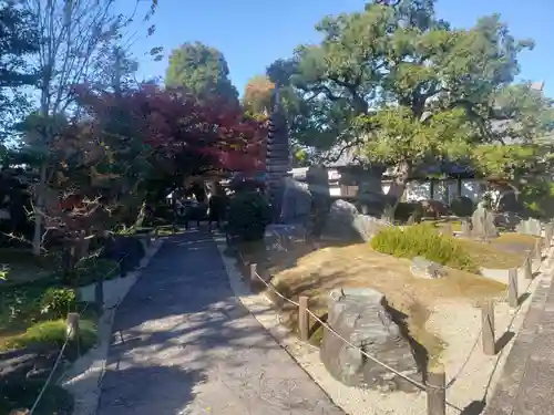 崇福寺の庭園