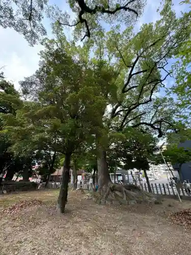 六所社（金城町）の{uncategorized: "未分類", other: "その他", undefined: "問題あり", building: "その他建物", grave: "お墓", sacred_gate: "鳥居", guardian: "狛犬", statue: "像", buddha: "仏像", history: "歴史", nature: "自然", garden: "庭園", animal: "動物", pagoda: "塔", temizu: "手水舎", mountain_gate: "山門・神門", sanctuary: "本殿・本堂", subordinate: "末社・摂社", art: "芸術", scenery: "景色", jizo: "地蔵", ema: "絵馬", goshuin: "御朱印", omikuji: "おみくじ", items: "授与品その他", amulet: "お守り", goshuincho: "御朱印帳", eats: "食事", festival: "お祭り", votive_dance: "神楽", shichigosan: "七五三参", wedding: "結婚式", experience: "体験その他", initially: "初詣", around: "周辺", anti_infection: "感染症対策"}
